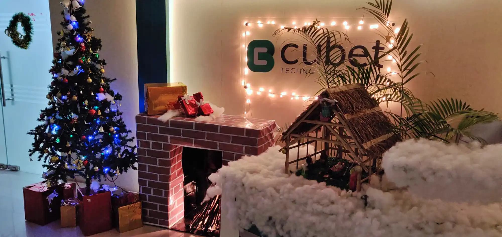Cubet all dressed up for Christmas